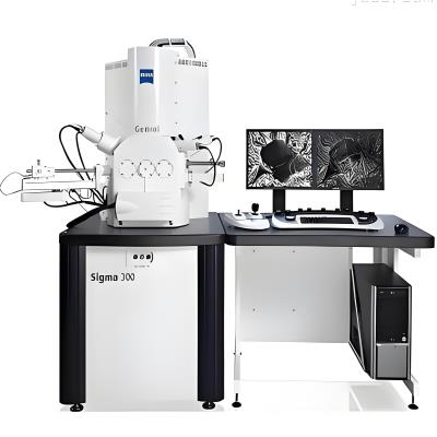 线能谱仪（SEM+EDS）